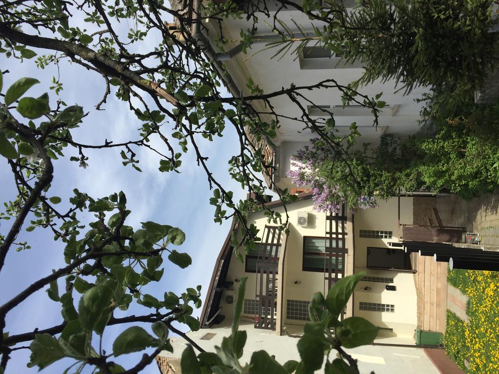 Casa Transilvania Braşov Exterior foto
